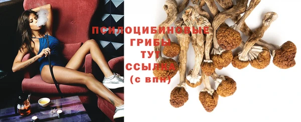 jwh Бородино
