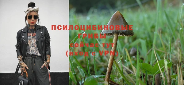 jwh Бородино