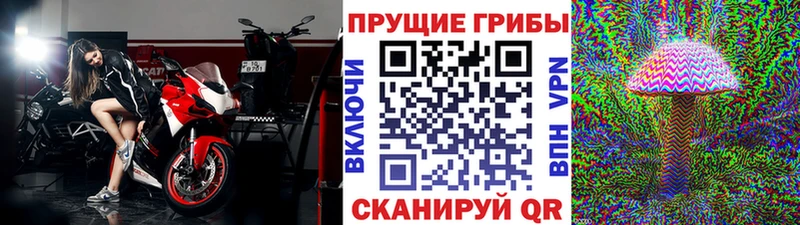 купить закладку  Ижевск  Галлюциногенные грибы прущие грибы 