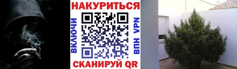 как найти   Ижевск  Бошки марихуана OG Kush 